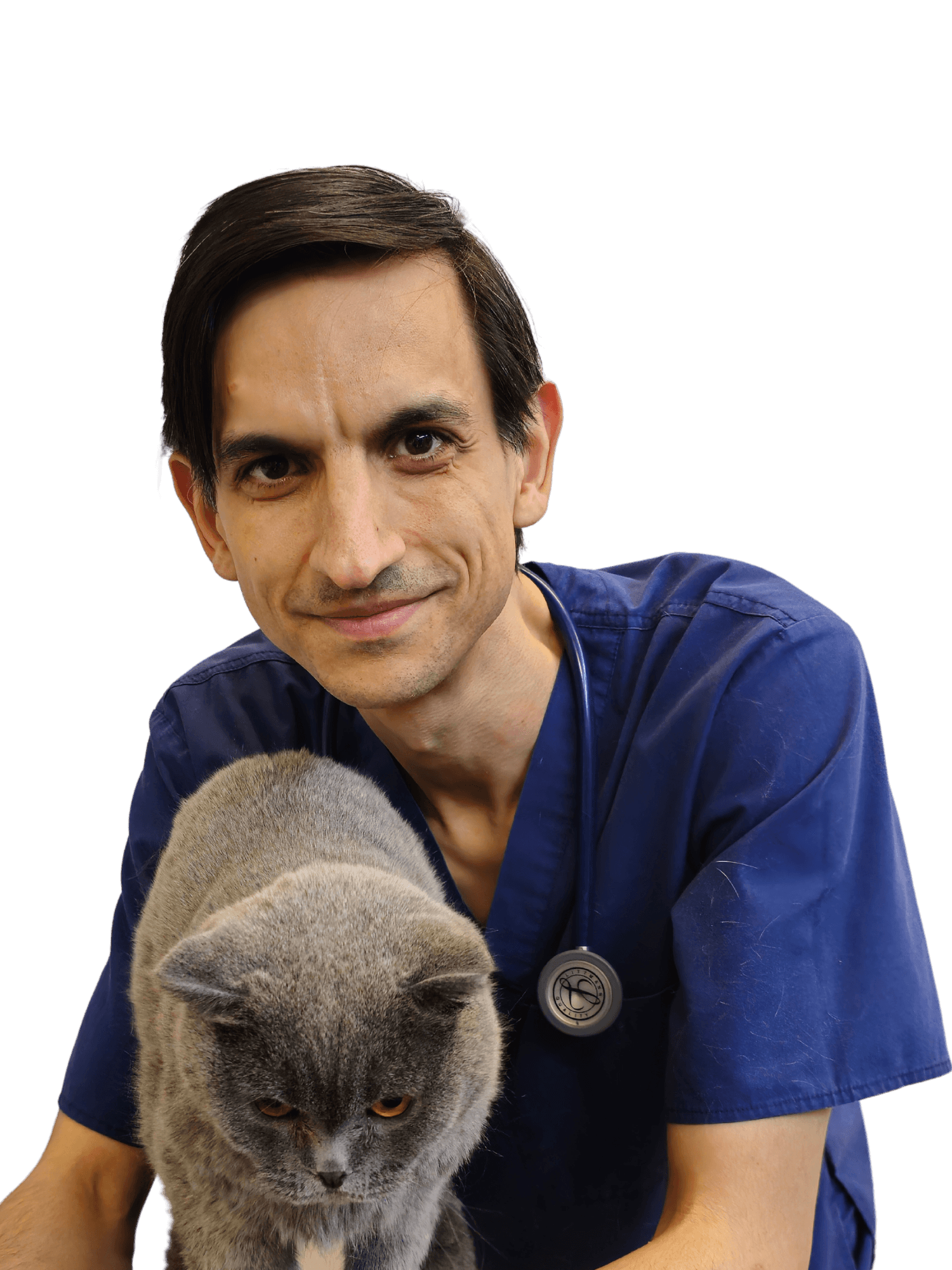 Dr. Octavian Feraru DVM - medic veterinar internist București Di-Pet Centrum