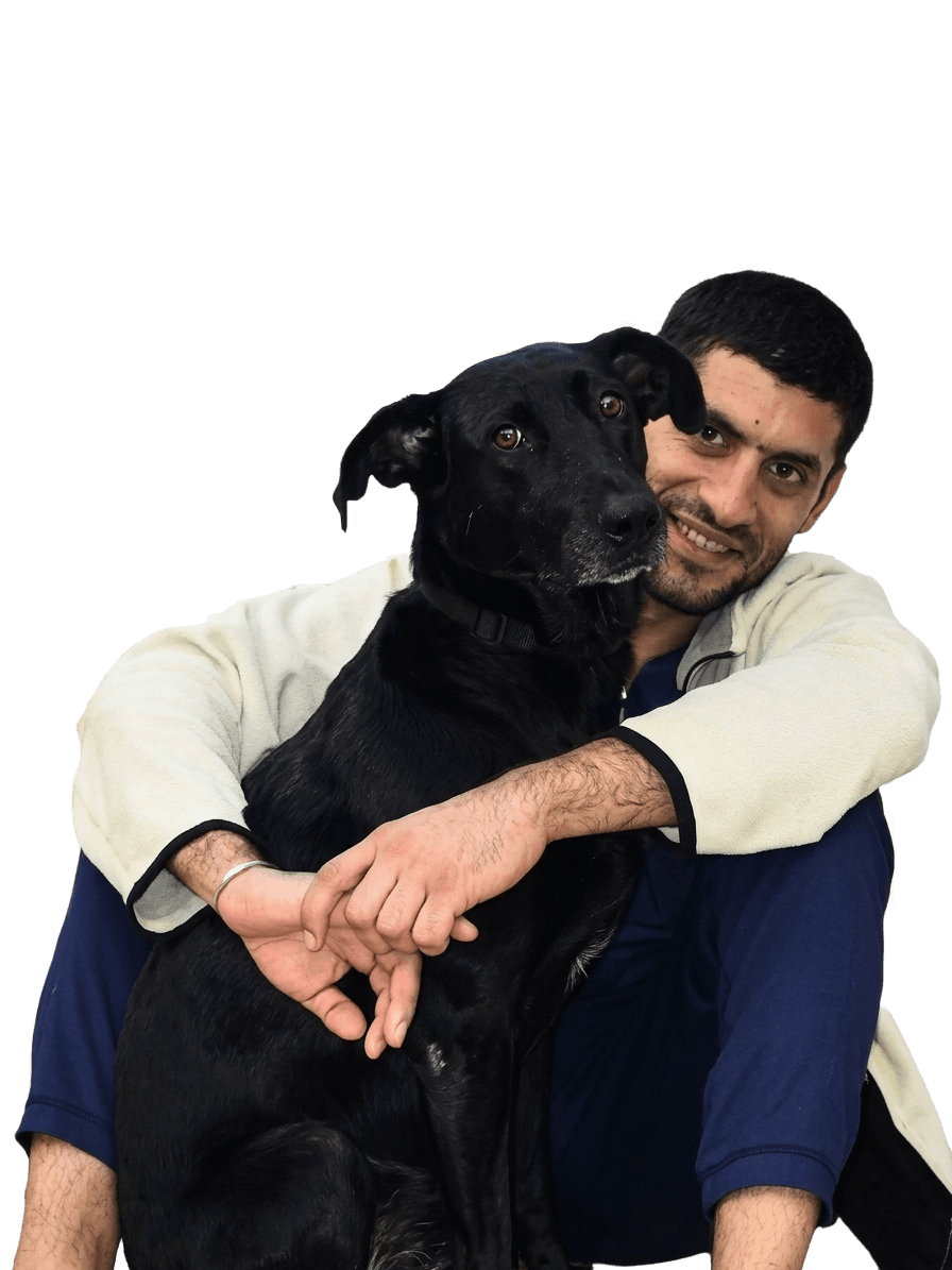 Dr. Gabriel Sandu DVM - specialist dermatologie medicină exotică veterinară București