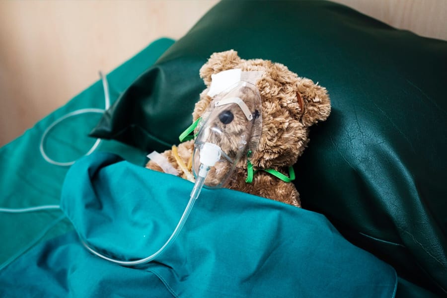 animale internate in spital veterinar