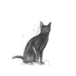 Royal Canin Sterilised 37 - imagine 3