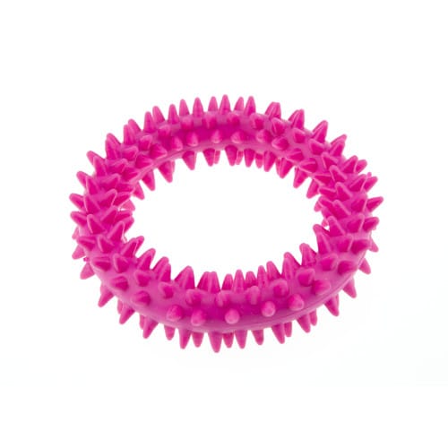 Jucarie pentru caini inel zimtat Enjoy