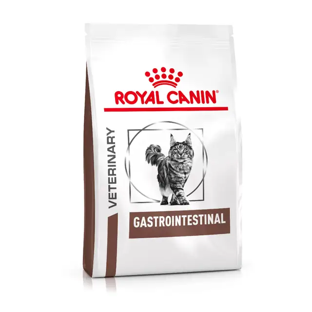 Royal Canin Gastrointestinal pisică
