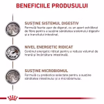 Royal Canin Gastrointestinal pisică - imagine 6