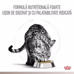 Royal Canin Gastrointestinal Hydrolysed Protein - imagine 7