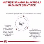 Royal Canin Gastrointestinal Puppy - imagine 4