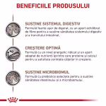 Royal Canin Gastrointestinal Puppy - imagine 6