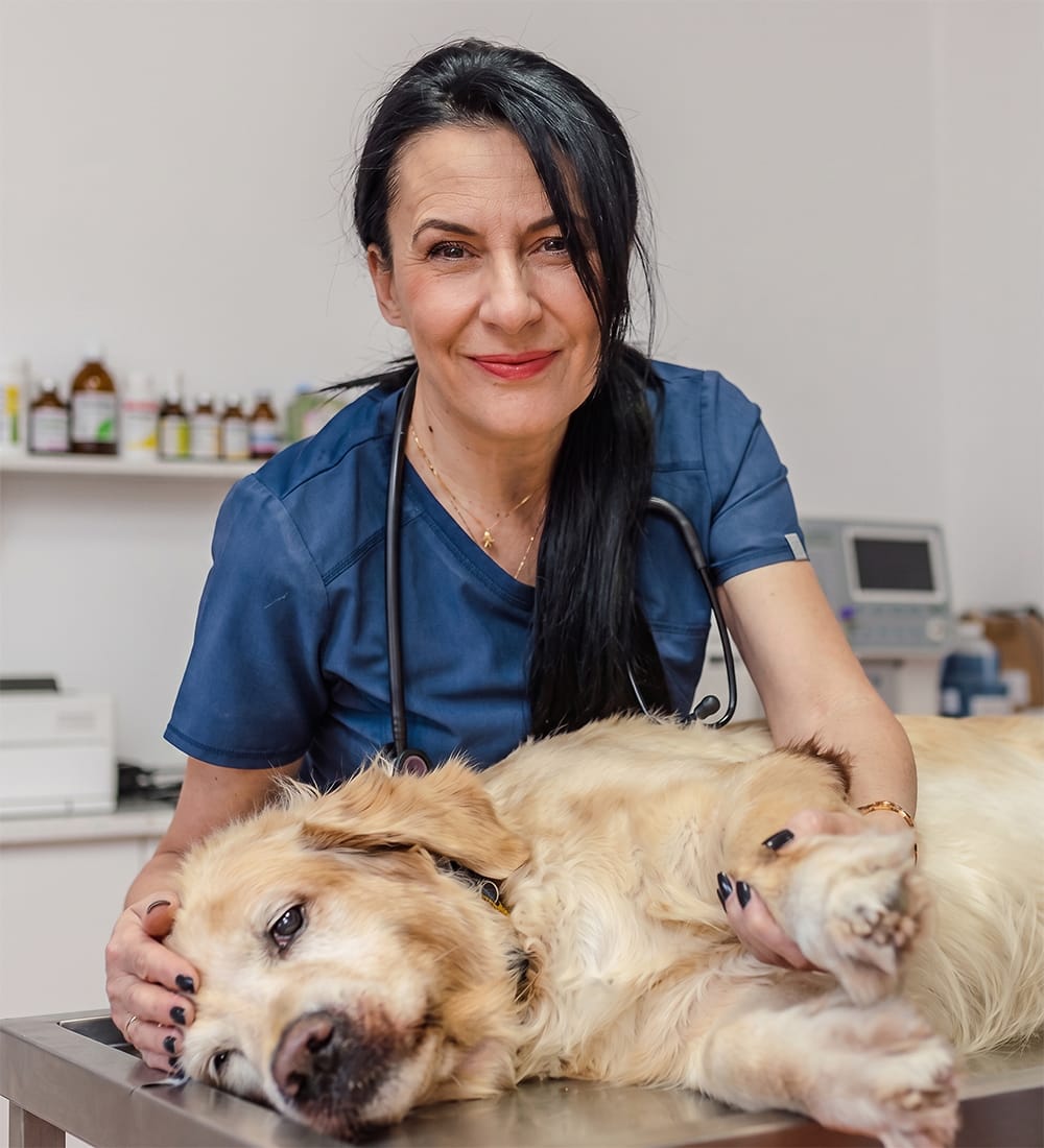 doctor veterinar