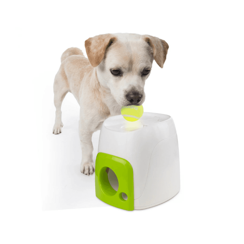 Dispenser interactiv recompense pentru caini All for Paws