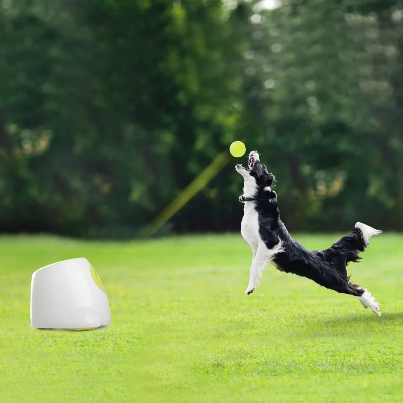 Lansator de Mingi pentru Caini All for Paws
