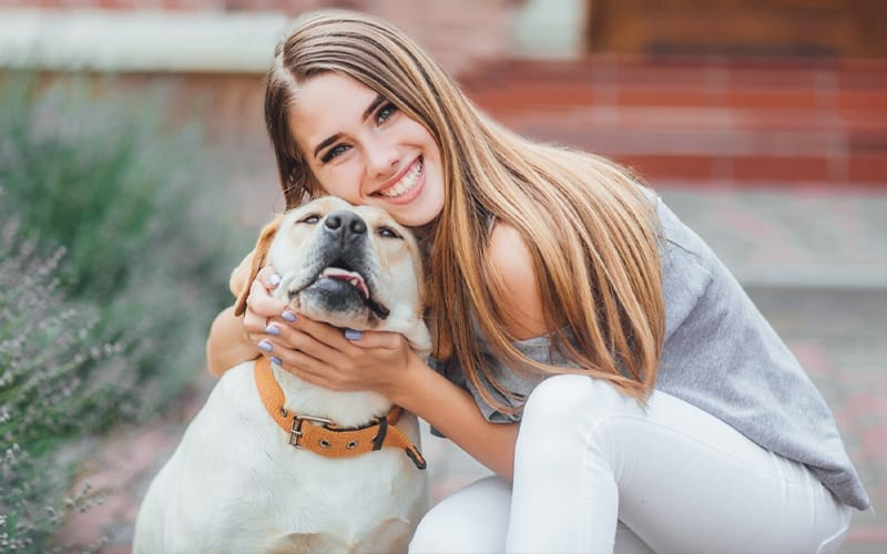 servicii veterinare
