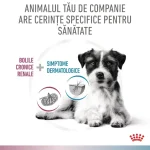Royal Canin Renal + Hypoallergenic Small Dogs - imagine 3