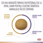 Hrana umedă Royal Canin Urinary S/O + Bladder Comfort - imagine 2