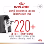 Hrana umedă Royal Canin Urinary S/O + Bladder Comfort - imagine 3