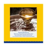 Ciao Dashi Delights Delicate Flakes Reteta cu Pui si Ton - imagine 4