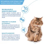 Ciao Churu Hairball Control Recompensa Cremoasa cu Somon - imagine 6