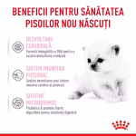 BABYCAT MILK Royal Canin înlocuitor de lapte pentru pisici - imagine 3