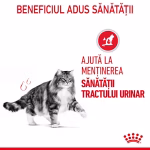 Hrană umedă pisici URINARY CARE 85g Royal Canin - imagine 2