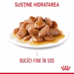 Hrană umedă pisici URINARY CARE 85g Royal Canin - imagine 7