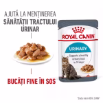 Hrană umedă pisici URINARY CARE 85g Royal Canin - imagine 4