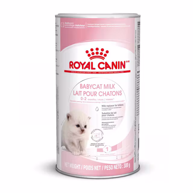 BABYCAT MILK Royal Canin înlocuitor de lapte pentru pisici