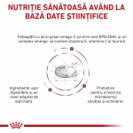 Royal Canin Gastrointestinal Low Fat hrană umedă câini - imagine 9