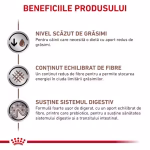 Royal Canin Gastrointestinal Low Fat hrană umedă câini - imagine 4