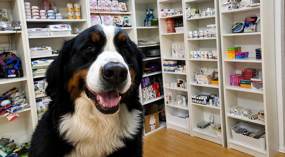 Pet Shop Di-Pet
